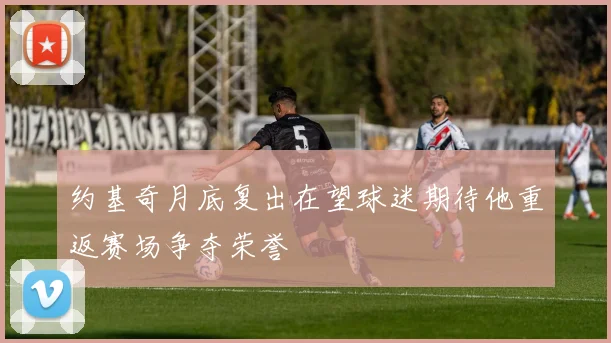 约基奇月底复出在望球迷期待他重返赛场争夺荣誉